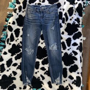 Daytrip Refined Lynx Skinny Ankle Jeans